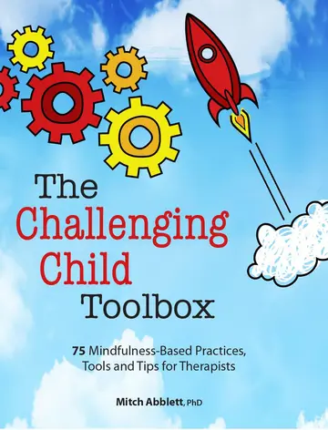 Cover of The Challenging Child Toolbox