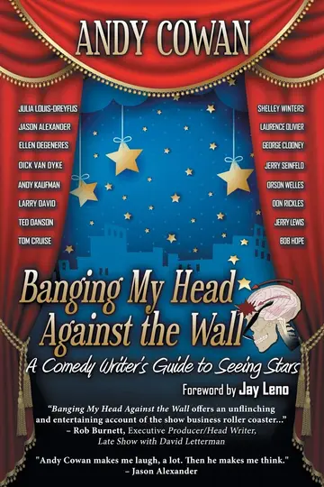 Cover of Banging My Head Against the Wall