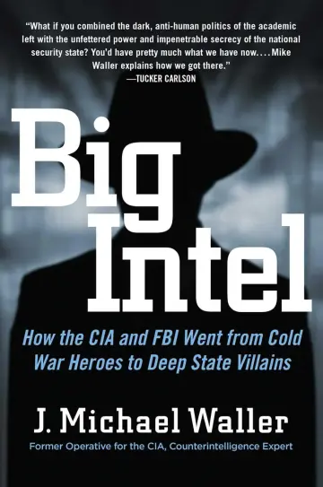 Cover of Big Intel