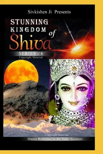 Cover of Stunning