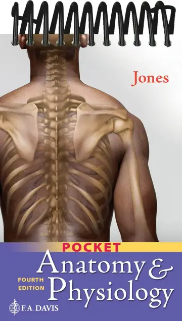 Cover of Anatomy & Physiology