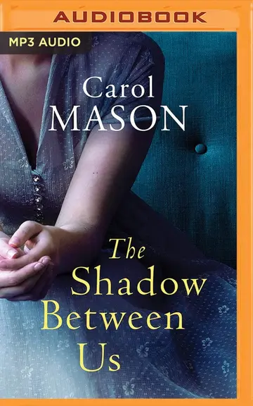 Cover of The Shadow Between Us