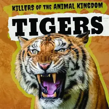 Cover of Tigers