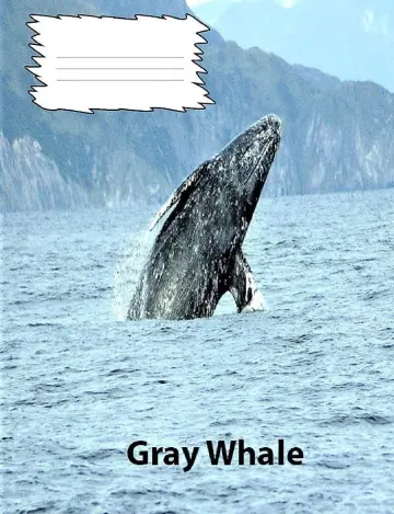 Cover of Gray Whale College Ruled Line Paper Composiition Book
