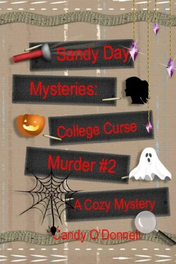 Cover of Sandy Day Mystery
