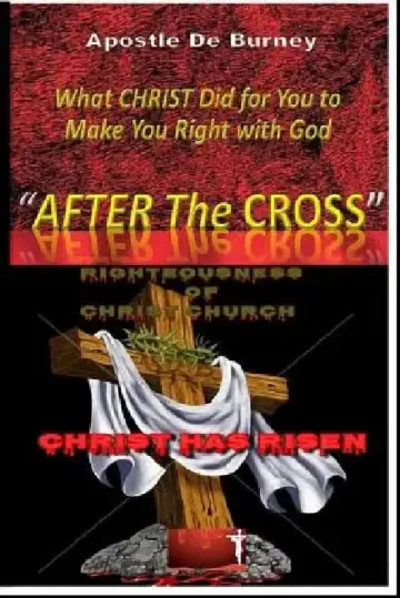 Cover of "After the Cross"
