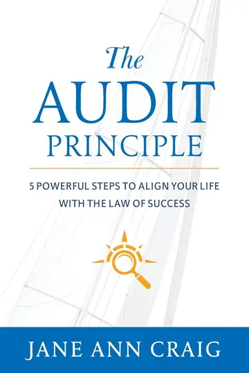 Cover of The Audit Principle