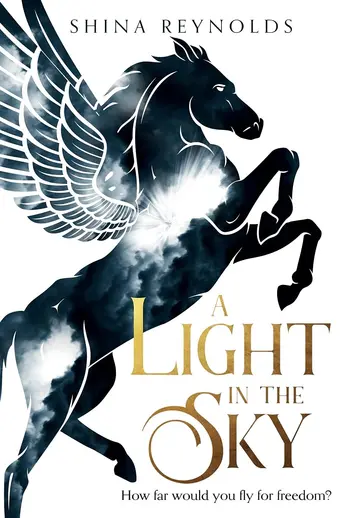 Cover of A Light in the Sky