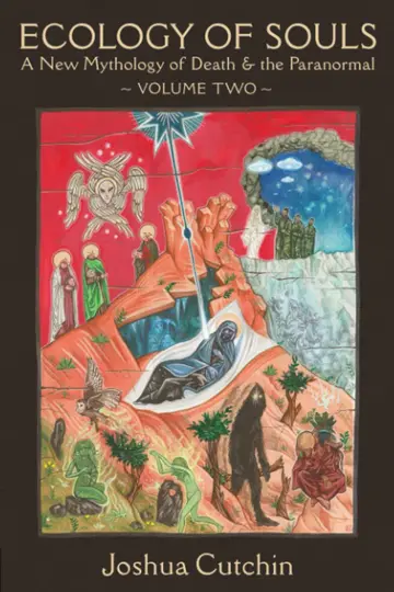 Cover of Ecology of Souls