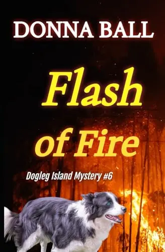 Cover of Flash of Fire