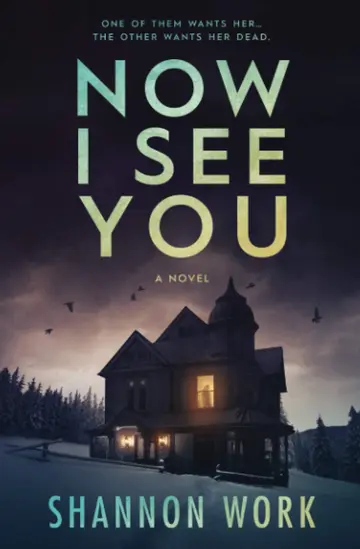 Cover of Now I See You