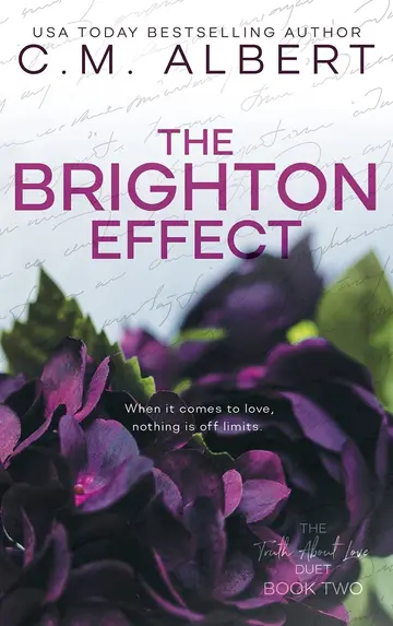 Cover of The Brighton Effect