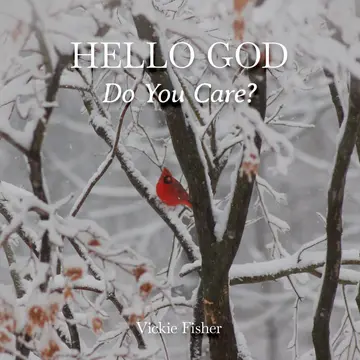 Cover of Hello God, Do You Care?