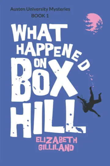 Cover of What Happened on Box Hill