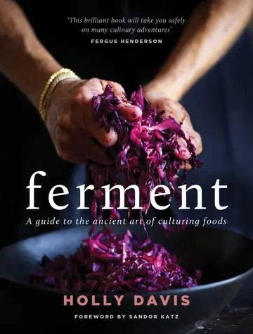 Cover of Ferment