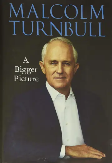 Cover of A Bigger Picture
