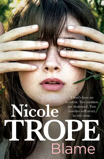 Cover of Blame