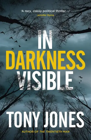 Cover of In Darkness Visible