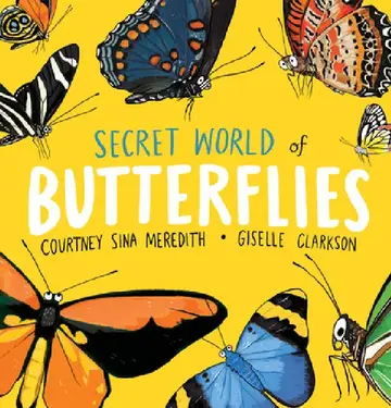 Cover of Secret World of Butterflies