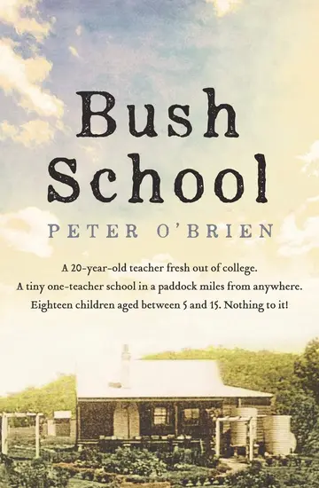 Cover of Bush School