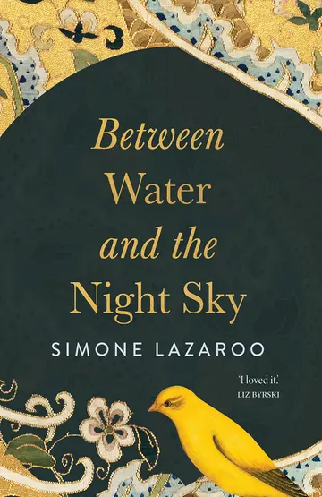 Cover of Between Water and the Night Sky