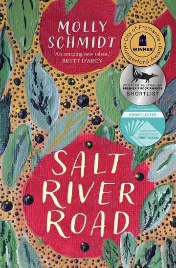 Cover of Salt River Road