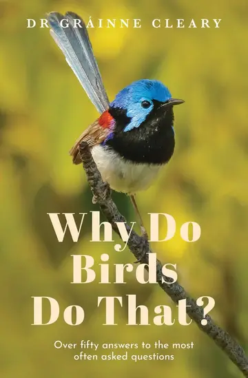 Cover of Why Do Birds Do That?