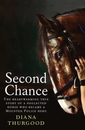 Cover of Second Chance