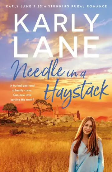 Cover of Needle in a Haystack