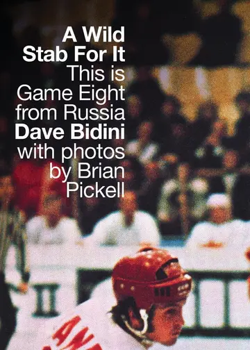 Cover of A Wild Stab for It