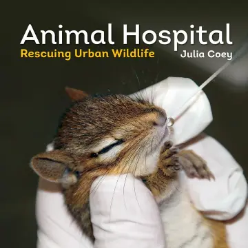 Cover of Animal Hospital