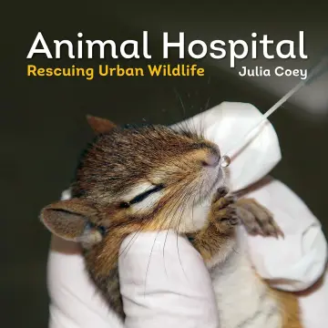 Cover of Animal Hospital
