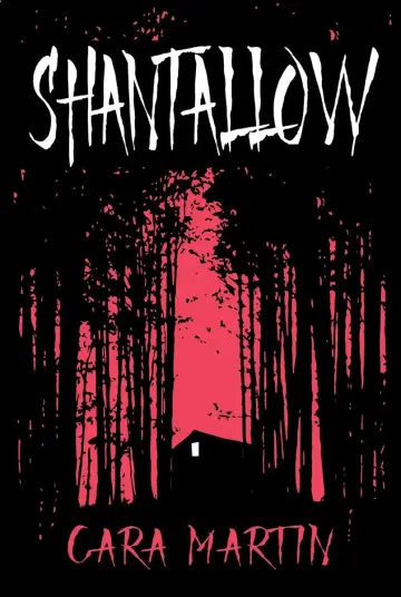 Cover of Shantallow