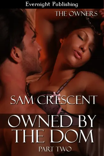 Cover of Owned by the Dom