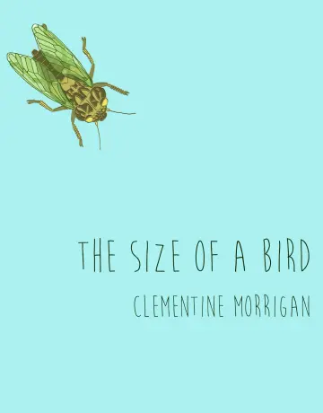 Cover of The Size of a Bird