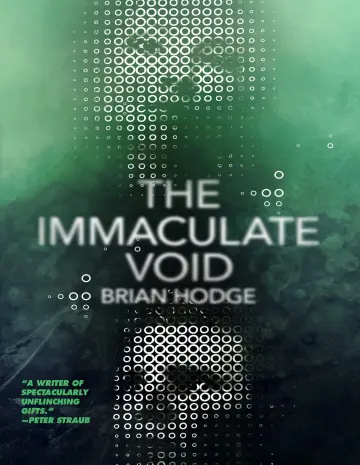 Cover of The Immaculate Void