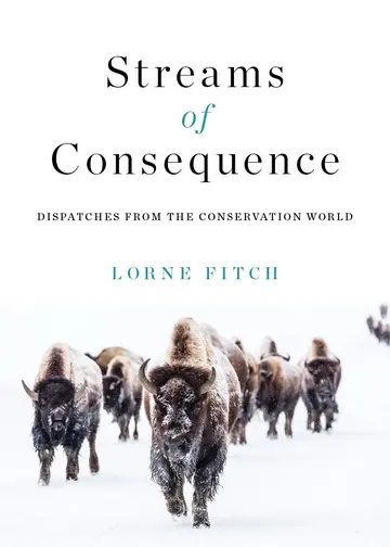 Cover of Streams of Consequence