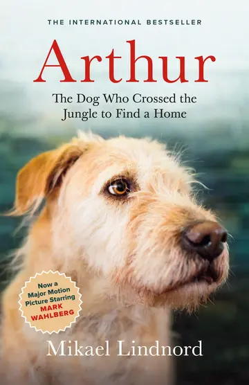 Cover of Arthur
