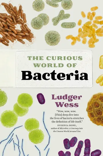 Cover of Bacteria
