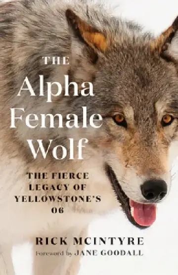 Cover of The Alpha Female Wolf