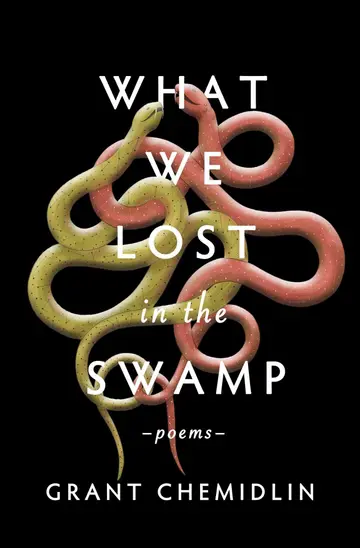 Cover of What We Lost in the Swamp