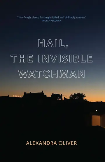 Cover of Hail, the Invisible Watchman