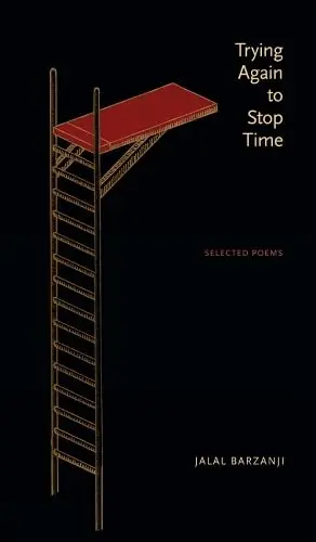 Cover of Trying Again to Stop Time
