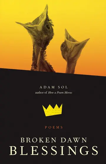 Cover of Broken Dawn Blessings