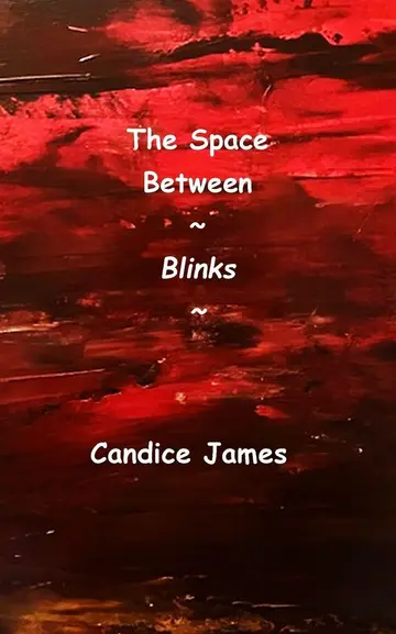 Cover of The Space Between Blinks