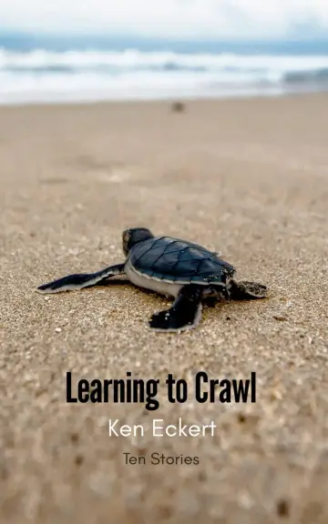 Cover of Learning to Crawl