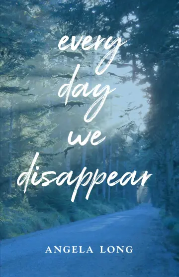 Cover of Every Day We Disappear