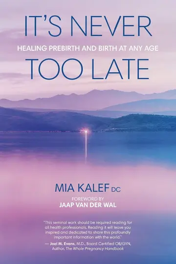 Cover of It's Never Too Late