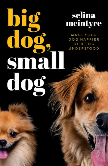 Cover of Big Dog Small Dog
