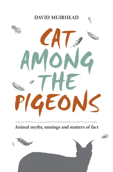 Cover of Cat Among the Pigeons